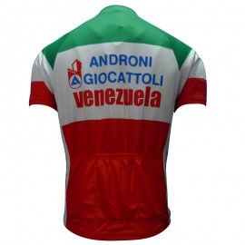 2013 ANDRONI GIOCATTOLI  professional cycling team - cycling jersey short sleeve