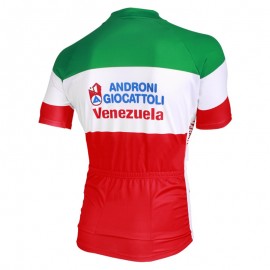 2013 ANDRONI GIOCATTOLI National Champion Italy cycle jersey + bib shorts kit