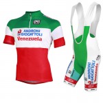 2013 ANDRONI GIOCATTOLI National Champion Italy cycle jersey + bib shorts kit