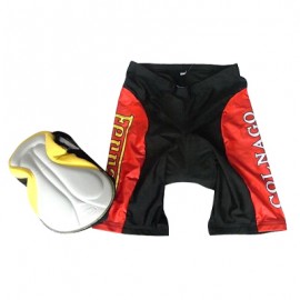 Team Colnago RED Cycling Regular Shorts 