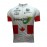 2012 Green EDGE Japan Champion Cycling Jersey Short Sleeve
